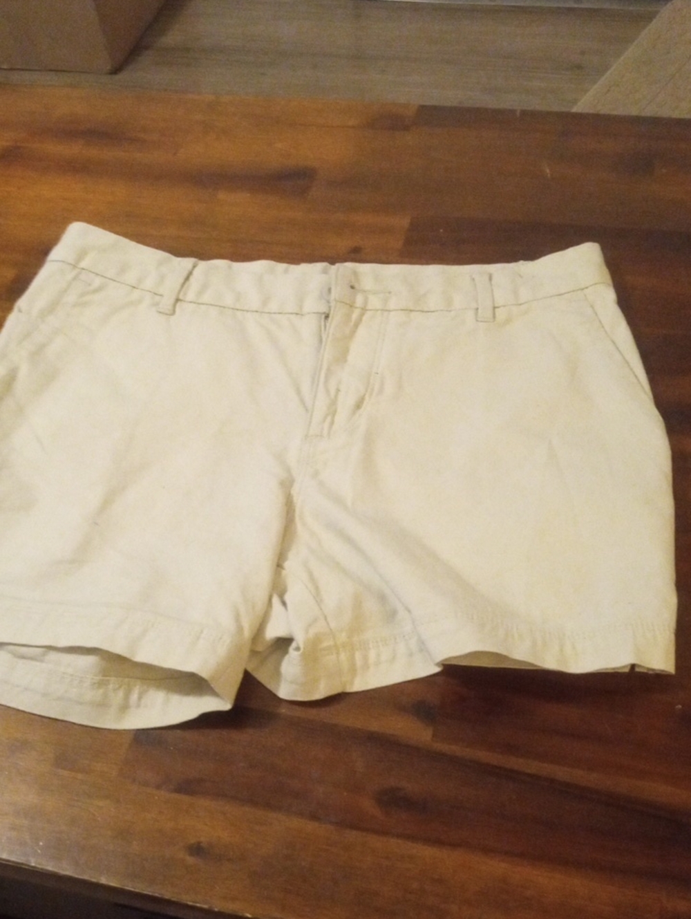 Women's Size 4 Patagonia Shorts